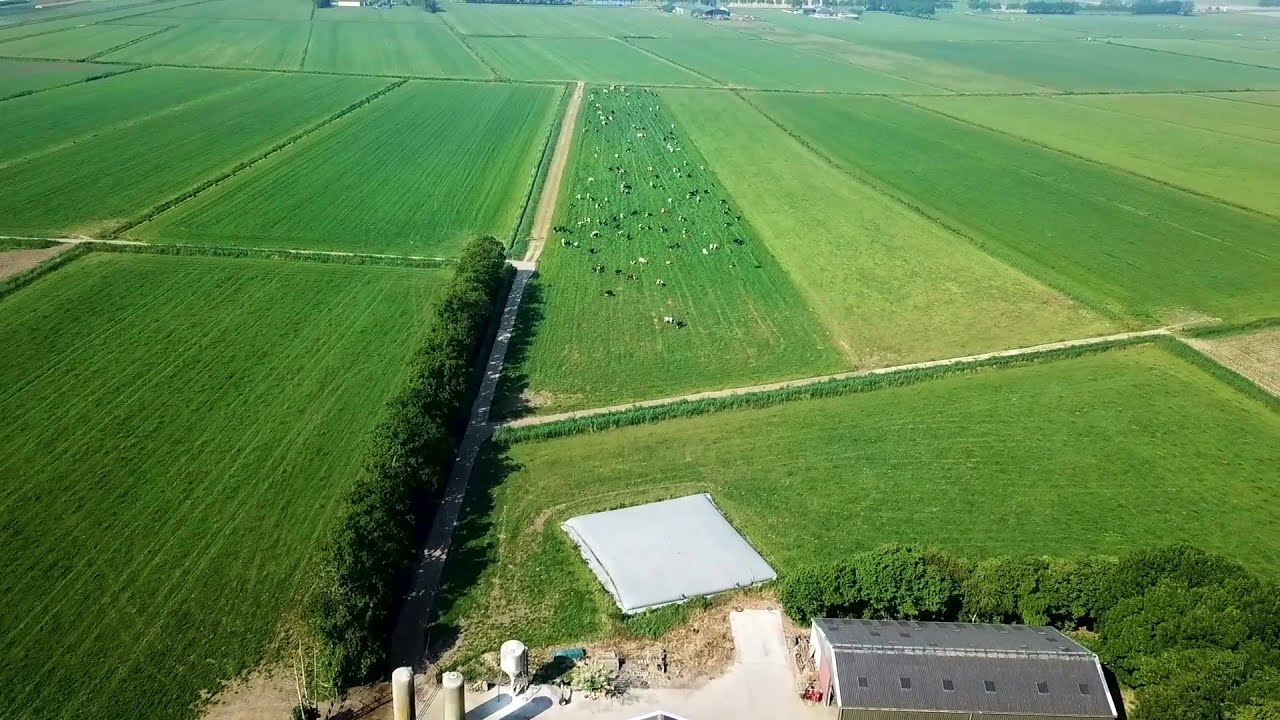 Videovoorbeeld: AR — Brink Multimedia